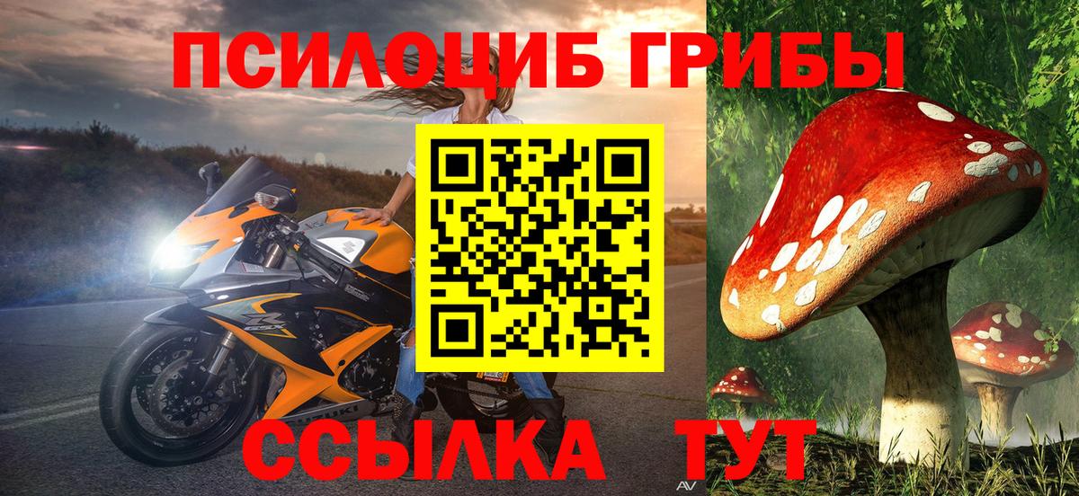 Галлюциногенные грибы прущие грибы  хочу   Семилуки  Вход с VPN 
